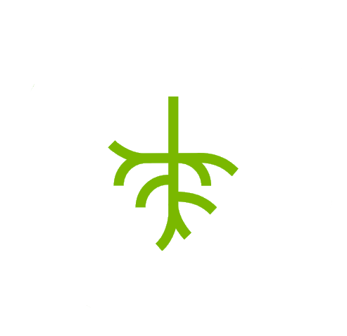 kons wortels icon
